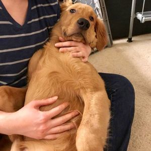 Meet your Posher, Jessie